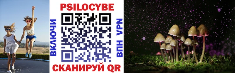 Псилоцибиновые грибы прущие грибы  omg tor  Нюрба 